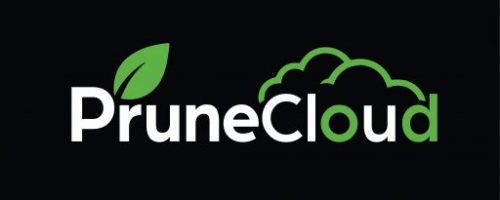 PruneCloud logo design — cloud cost optimization brand identity